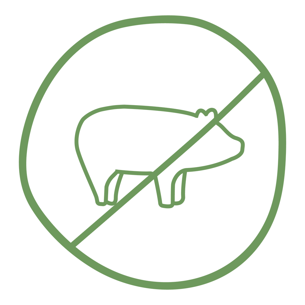 The Problem With Plastic In Chewing Gum – True Co